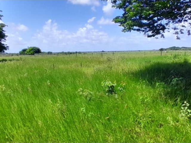 Finca en venta en Guanta, Amazonas