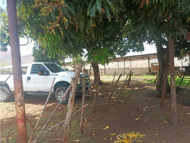 Finca en venta en Tinaquillo, Cojedes