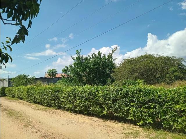 Terreno en venta en Silva, Falcón