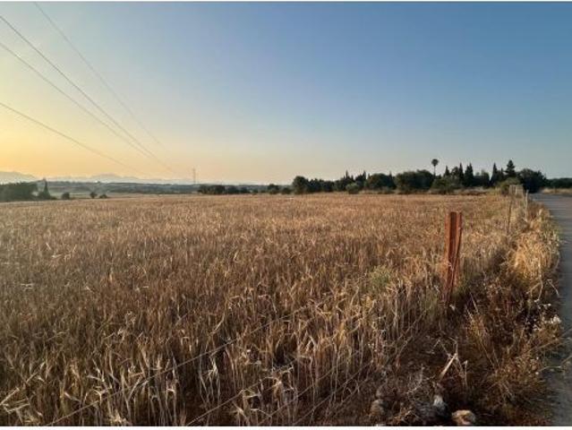 Local Comercial en venta en Pla de Mallorca, Baleares