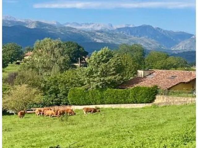 Local Comercial en venta en Val De San Vicente, Cantabria