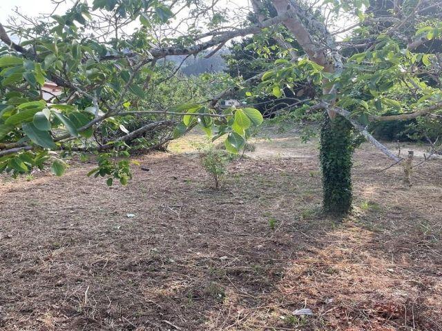 Local Comercial en venta en Cambre