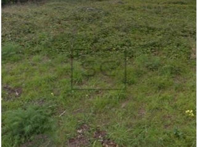 Local Comercial en venta en Ferrol