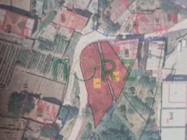 Terreno en venta en San Domingos de Ribadavia, O Ribeiro