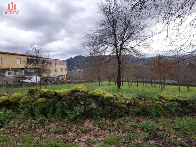 Terreno en venta en Coles, Ourense