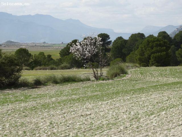 Local Comercial en venta en Noroeste, Murcia