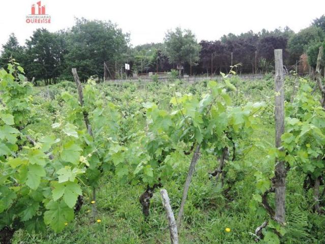 Local Comercial en venta en Prexigueiró, Ourense