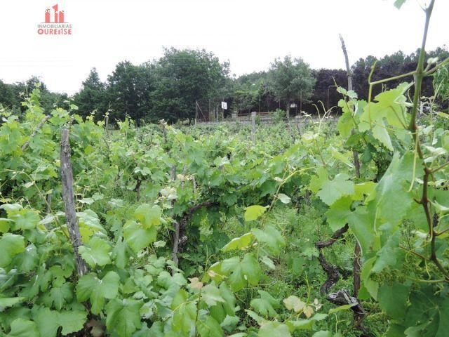 Local Comercial en venta en Prexigueiró, Ourense