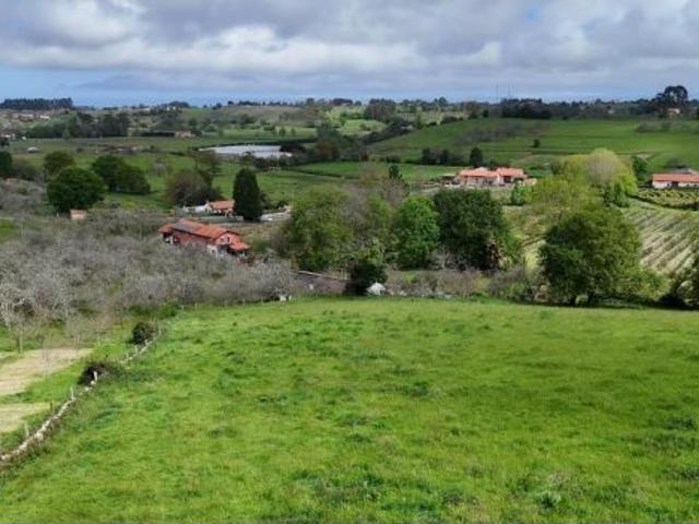 Local Comercial en venta en Villaviciosa, Asturias