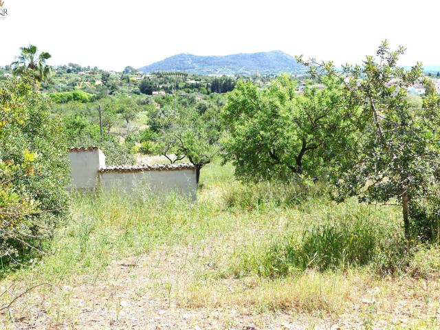 Chalet en venta en Crist Rei, Inca