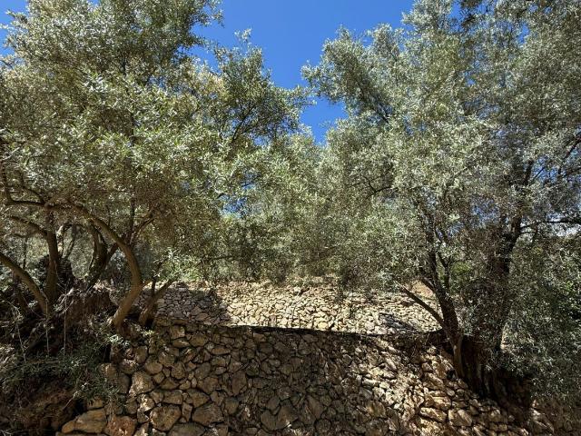 Terreno en venta en Comarca del Valle de Lecrín, Andalucía
