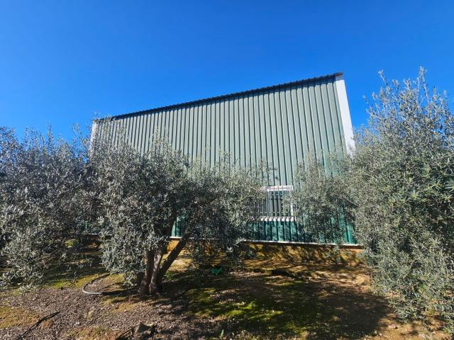 Nave en venta en Balsapintada, Campo de Cartagena y Mar Menor