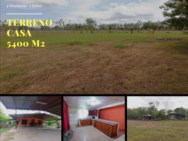 Finca y casa en venta en querévalos a 20 minutos de david