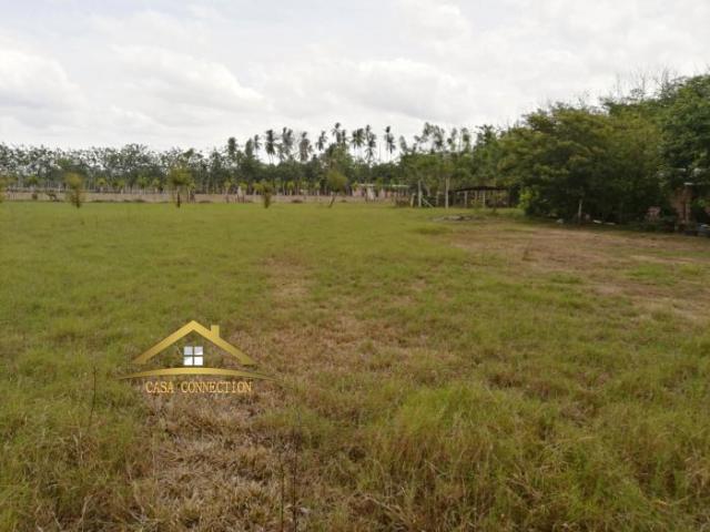 Finca y casa en venta en querévalos a 20 minutos de david