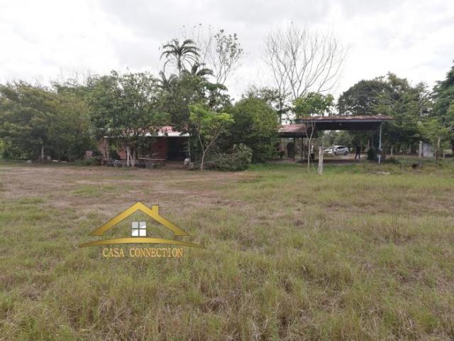 Finca y casa en venta en querévalos a 20 minutos de david