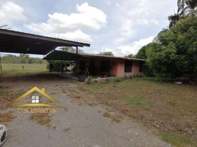 Finca y casa en venta en querévalos a 20 minutos de david