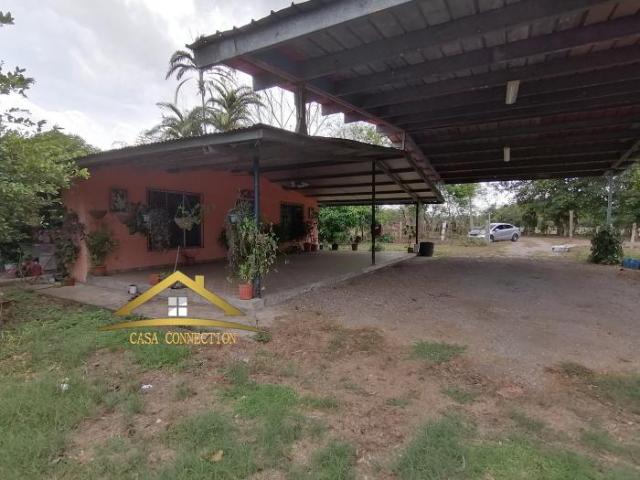 Finca y casa en venta en querévalos a 20 minutos de david