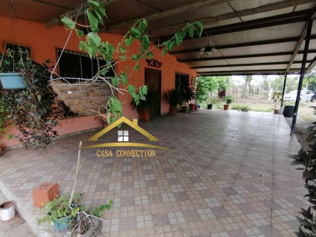 Finca y casa en venta en querévalos a 20 minutos de david