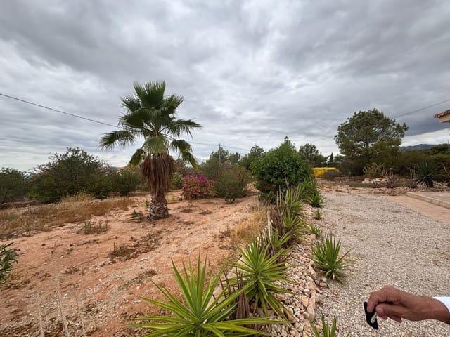 Casa Rural en alquiler en el Baix Vinalopó, Valencia