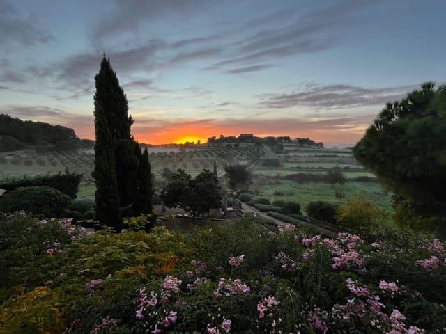 Casa Rural en alquiler en Pla de Mallorca, Baleares