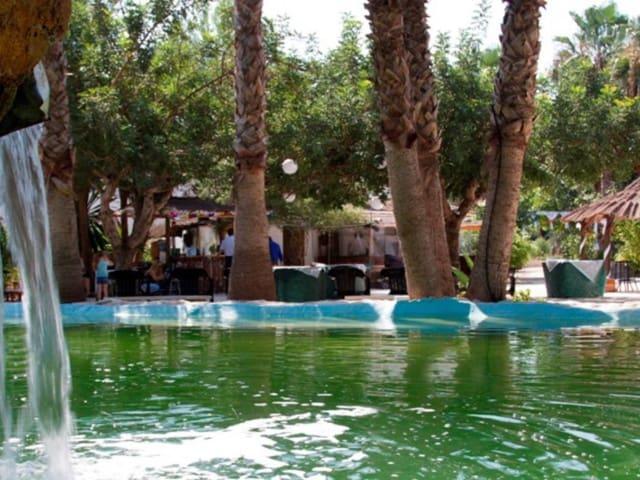 Quinta en alquiler en Orihuela, Barrio Nuevo