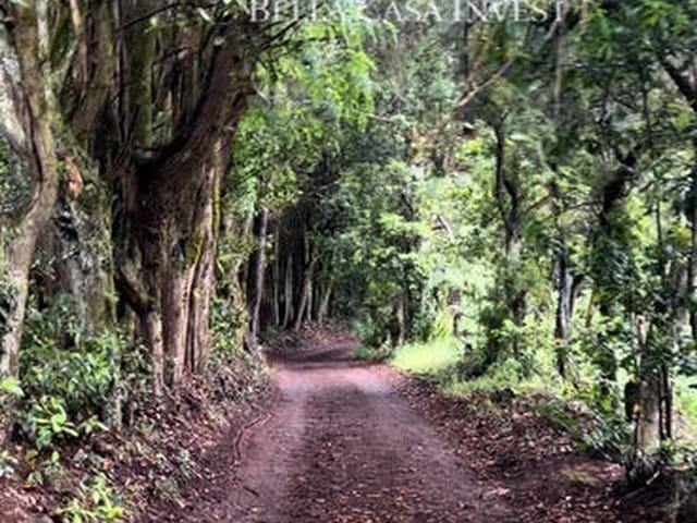 Casa Rural en alquiler en Tacoronte, Guayonje