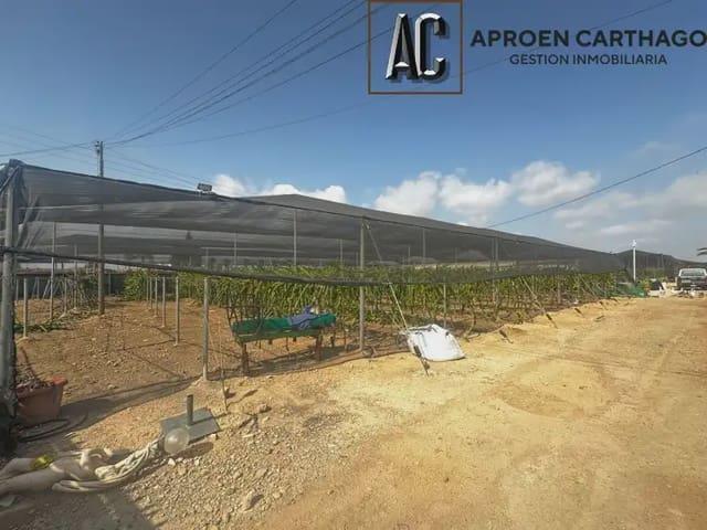Casa Rural en alquiler en Torre-Pacheco, Campo de Cartagena y Mar Menor