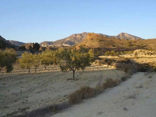 Casa Rural en venta en Oriental, Murcia