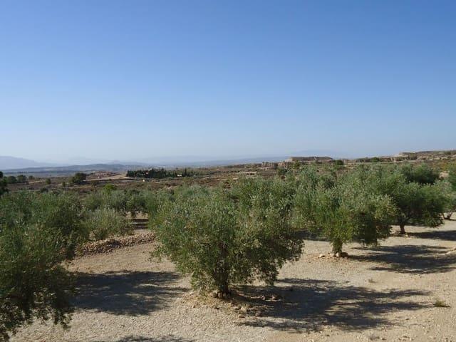 Casa Rural en venta en Oriental, Murcia