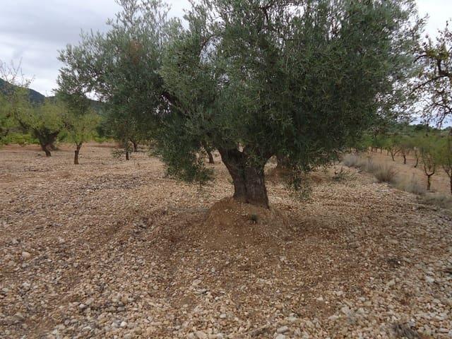 Casa Rural en venta en Oriental, Murcia