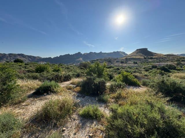 Casa Rural en venta en Virgen del Oro, Vega Alta del Segura