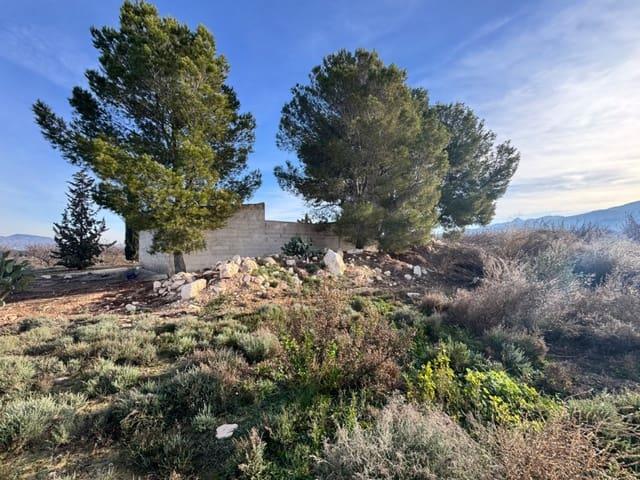 Terreno en venta en Virgen del Oro, Vega Alta del Segura