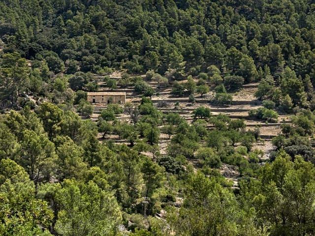 Casa Rural en venta en es Pontarró, Raiguer