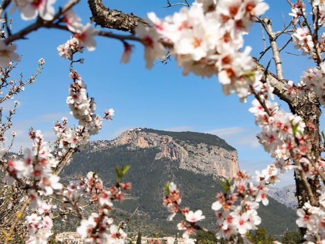 Casa Rural en venta en es Pontarró, Raiguer