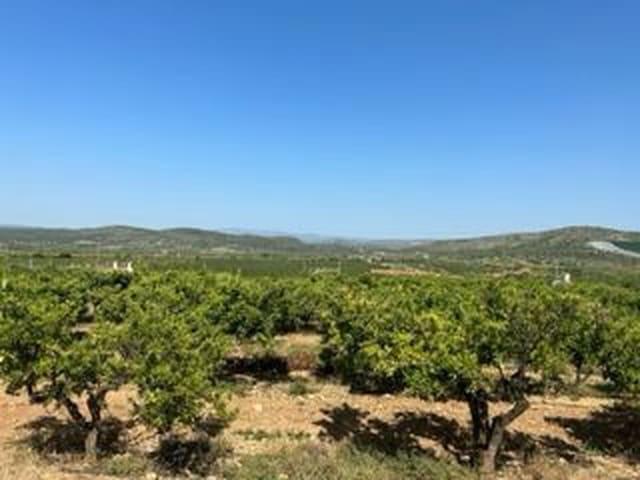 Casa Rural en venta en Alcalà De Xivert, Valencia