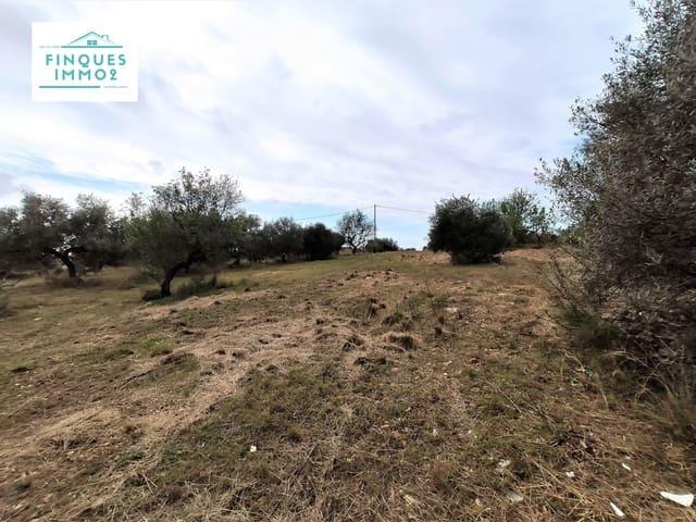 Casa Rural en venta en Alcanar, Tarragona