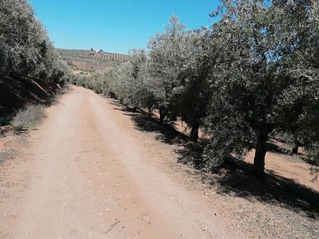 Casa Rural en venta en Alcántara, Cáceres