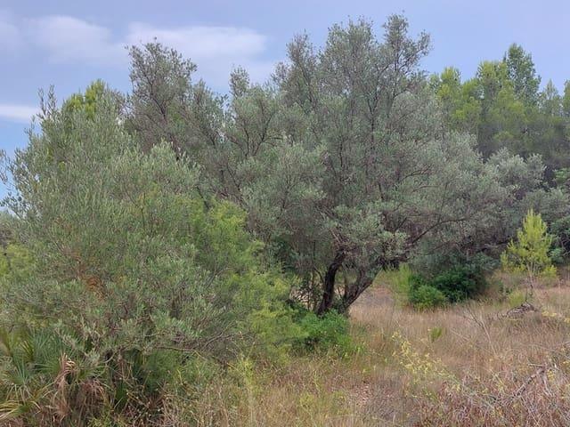Casa Rural en venta en Baix Ebre, Catalunya