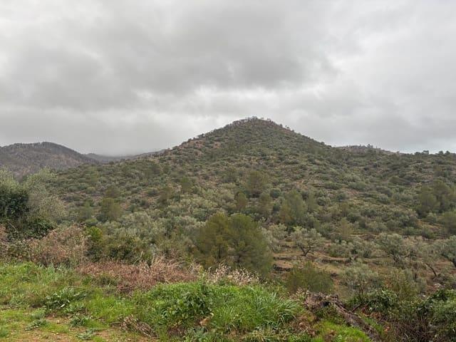 Casa Rural en venta en Baix Ebre, Catalunya