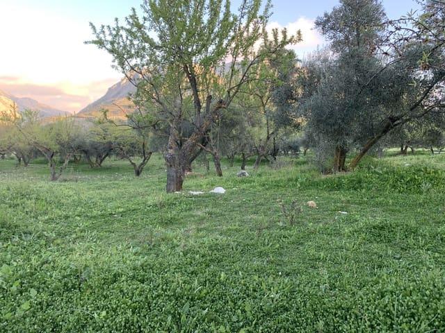 Casa Rural en venta en La Axarquía, Andalucía