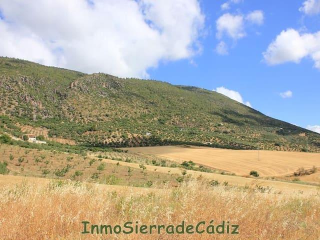 Casa Rural en venta en Sierra de Cádiz, Andalucía