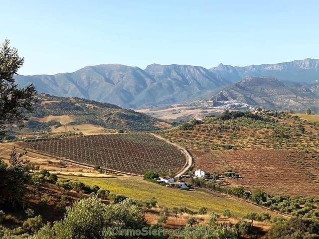 Casa Rural en venta en Sierra de Cádiz, Andalucía