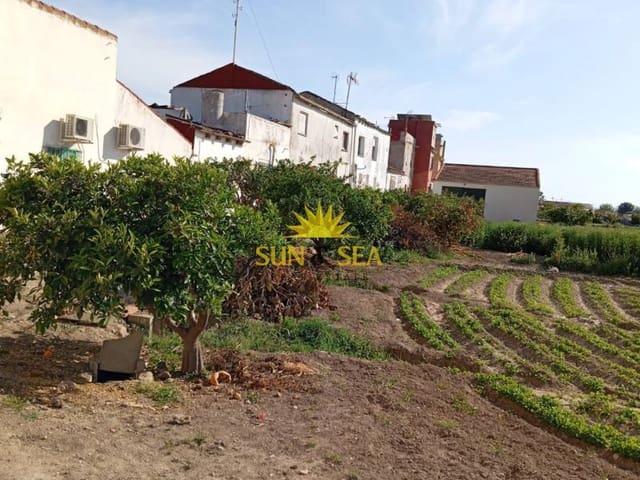 Casa Rural en venta en Algorfa