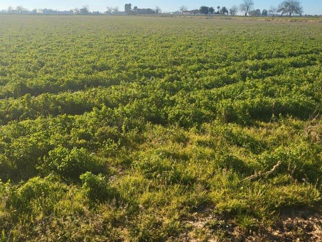 Casa Rural en venta en Almansa, Albacete