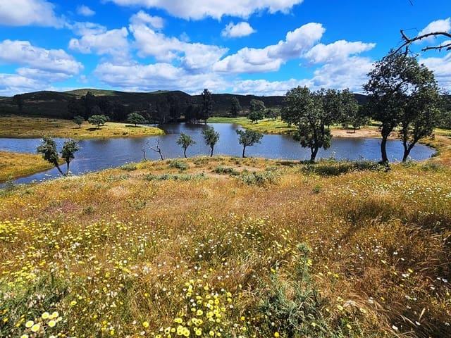 Casa Rural en venta en Almonaster La Real