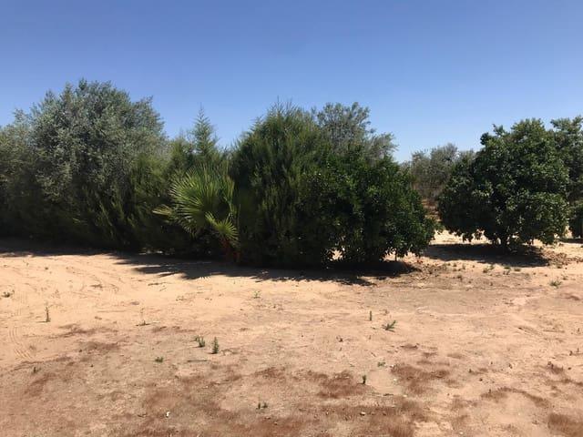 Casa Rural en venta en El Condado, Andalucía