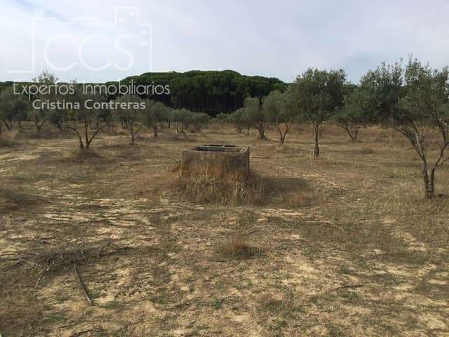 Casa Rural en venta en El Condado, Andalucía