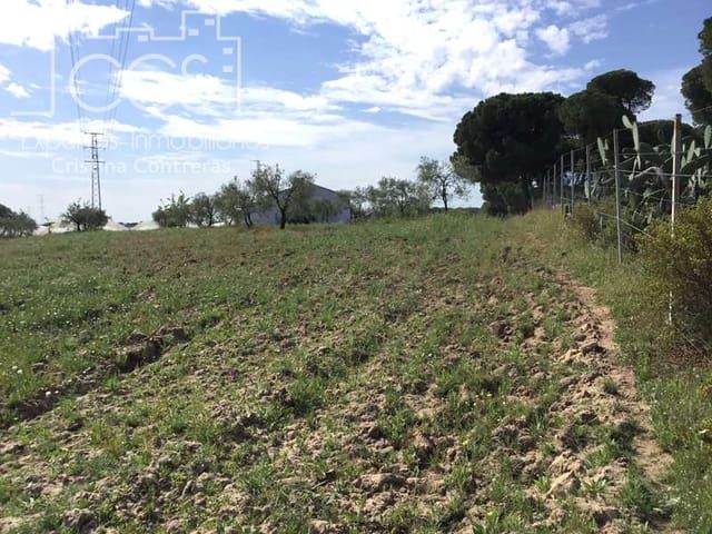 Casa Rural en venta en El Condado, Andalucía