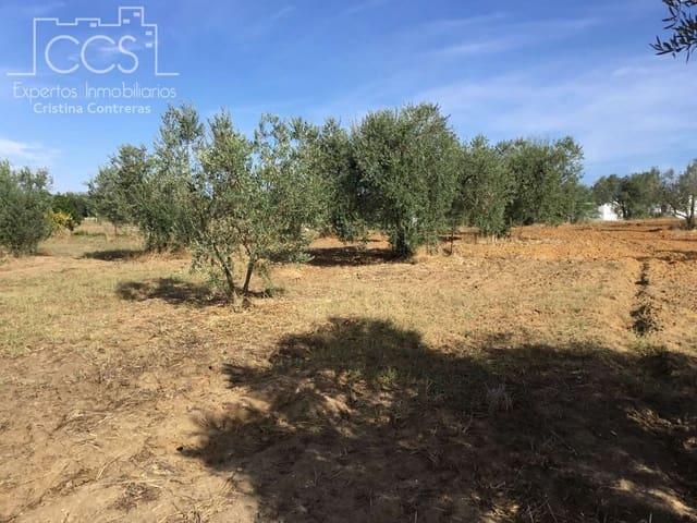Casa Rural en venta en El Condado, Andalucía