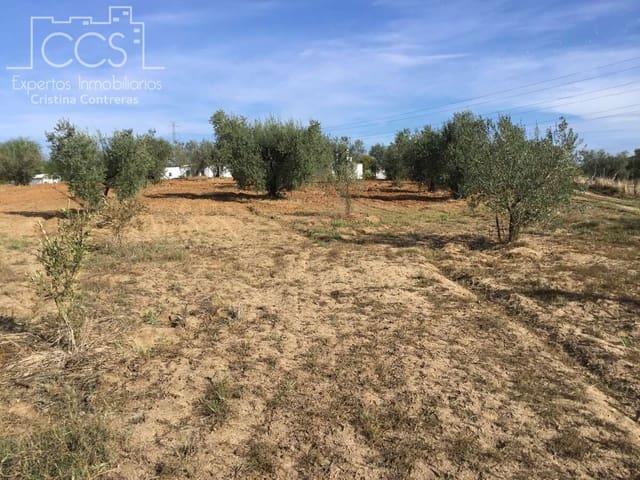Casa Rural en venta en El Condado, Andalucía